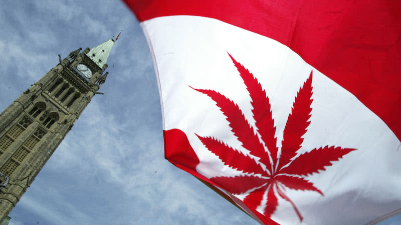 A Canadian flag with a marijuana leaf flies on Parliament Hill in Ottawa on June 5, 2004. On Oct. 17, 2018, marijuana use will become legal in Canada, prompting the NDP to call for expunging prior pot convictions. Photo from Getty Images.