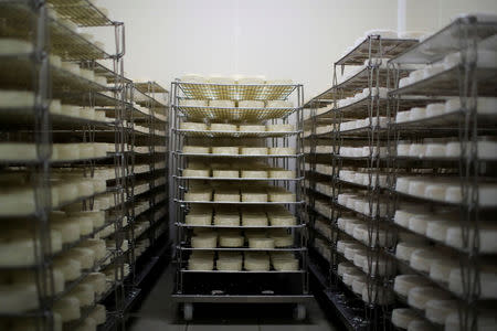 Racks of camembert cheese are seen at the French non-pasteurized Camembert cheese farm ''Le 5 Freres de Bermonville" in Bermonville, France, March 12, 2019. REUTERS/Gonzalo Fuentes