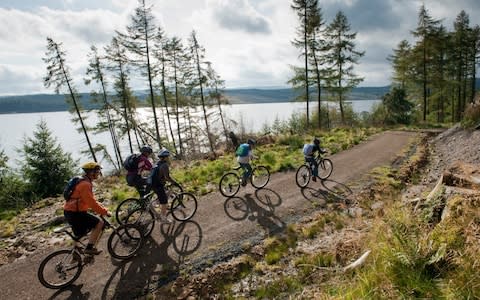A family cycling along the Lakeside Way, Kielder Water - Credit: Paul Harris/AWL Images RM