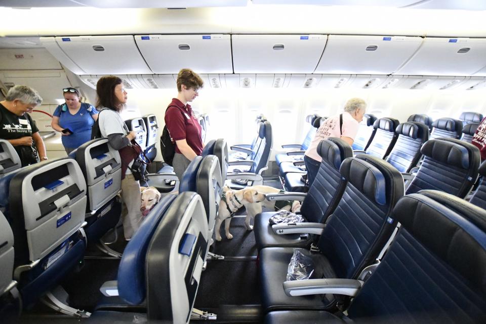 Guide dogs and trainers practiced boarding a United Airlines plane as part of the exercises.