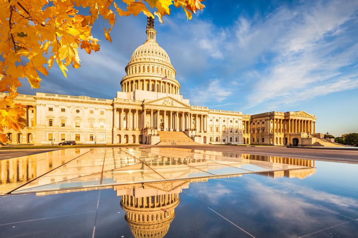 The United States Capitol, Washington D.C. during autumn, yellow leaves framing left side, mural reflecting clouds in sky