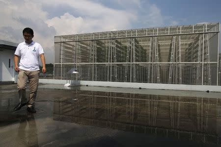 An employee passes a building housing the towers used for growing vegetables at Sky Greens vertical farm in Singapore July 30, 2014. REUTERS/Edgar Su