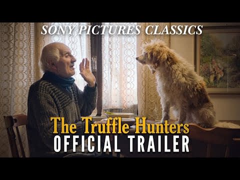 60) The Truffle Hunters (2020)