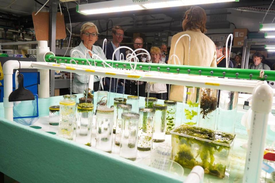 Department of Energy Secretary Jennifer Granholm (far left), along with Representative Derek Kilmer (to her immediate left) and Geri Richmond, DOE Under Secretary for Science and Innovation (fourth from left), learned about PNNL’s algae research during their tour of the PNNL-Sequim campus in 2022.