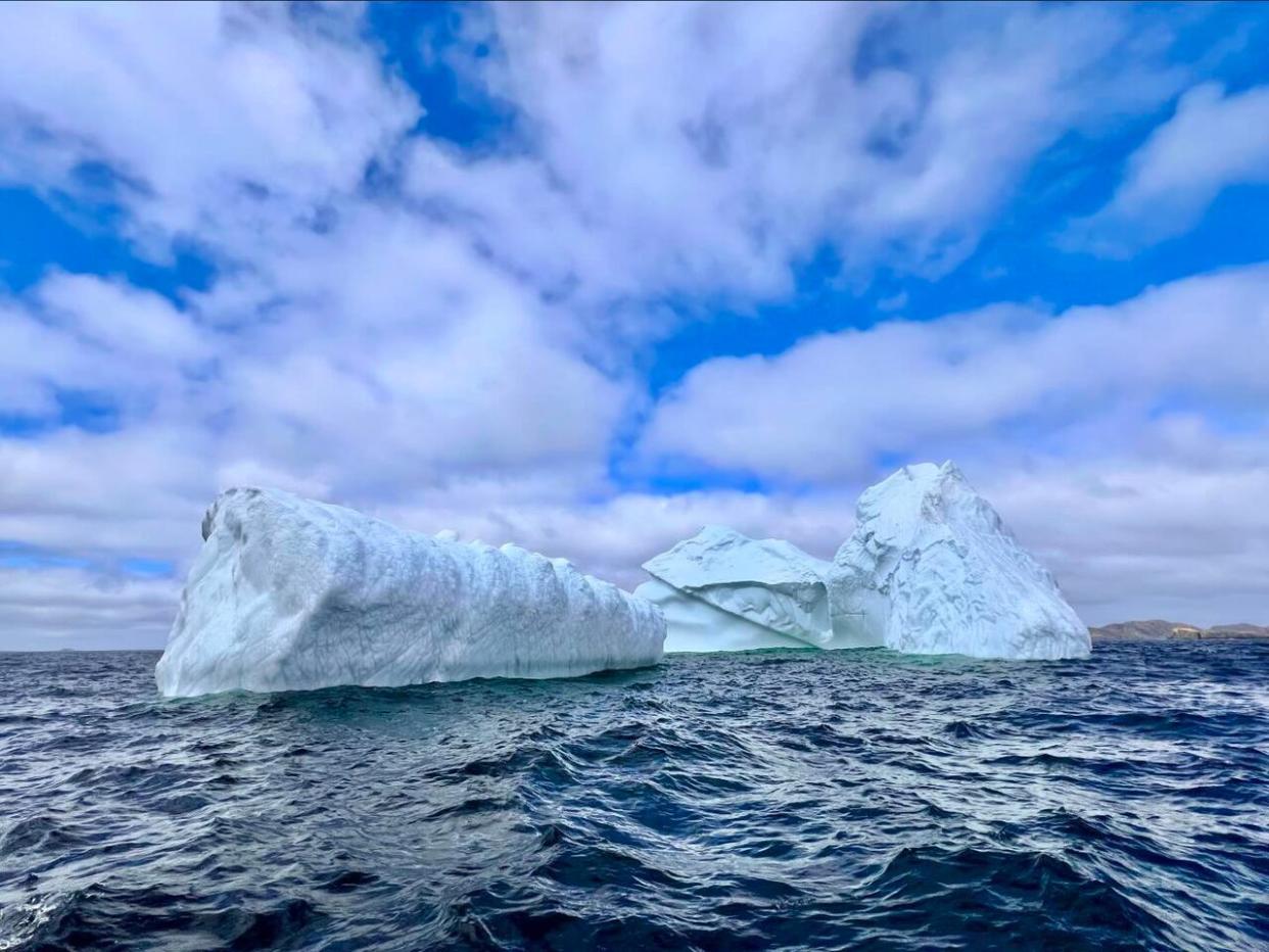 Chris Scott says the first iceberg of the season was spotted in the waters off Twillingate on Monday. (Twillingate Adventure Tours/Facebook - image credit)