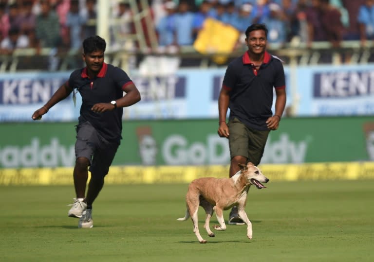 Ground staff chase a dog which ran onto the field on the first day of the second Test between India and England in Vishakhapatnam on November 17, 2016