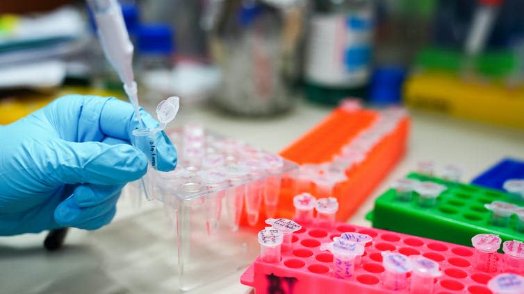 A technician processing testing samples in a lab