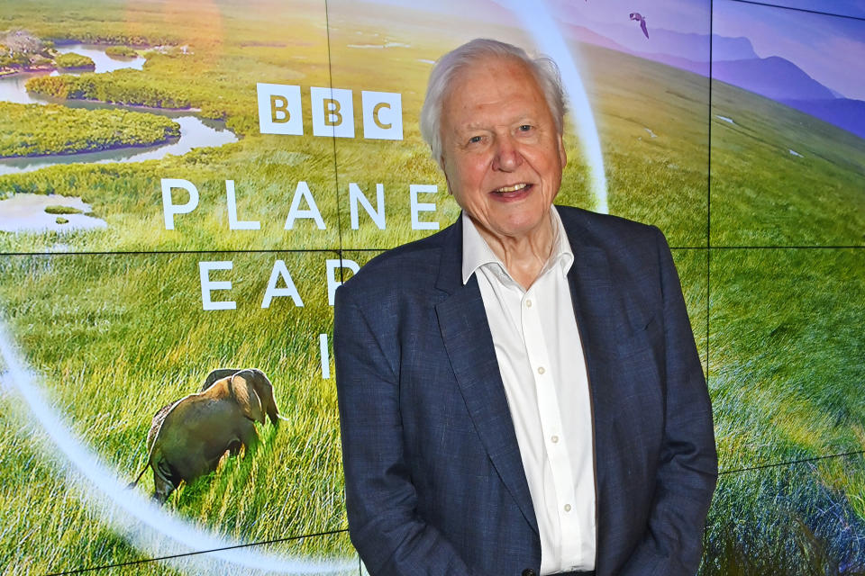 LONDON, ENGLAND - OCTOBER 12: Sir David Attenborough attends the Global Launch of BBC Studios' 