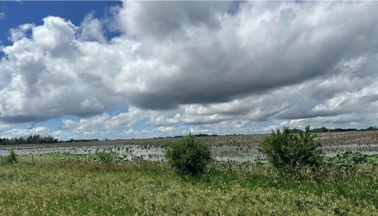 The site of a proposed new men's prison in Lincoln County, showing water after a major flood. (Courtesy South Dakota Department of Corrections)