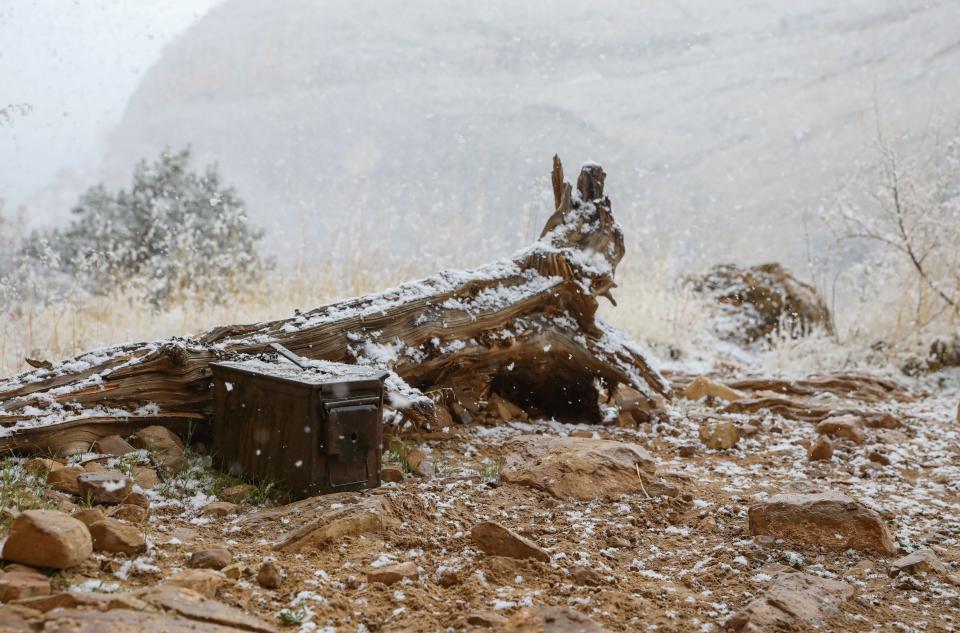 An ammo can is chained to a tree near Native American ruins in the Bears Ears National Monument.