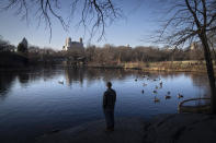 A visitor stands beside a lake full of geese near the Great Lawn at the center of Central Park, Monday, Jan. 30, 2023, in the Manhattan borough of New York. Since the start of winter in December, there hasn't been any measurable snowfall in the city. The last time it took this long before snow lingered on the ground in the wintertime was 1973, when New Yorkers had to wait until Jan. 29. (AP Photo/John Minchillo)