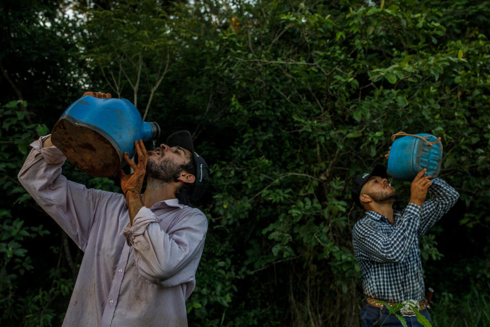 Workers drink water while planting tree seedlings in the Preta Terra project.<span class="copyright">Victor Moriyama for TIME</span>