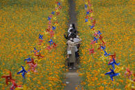 People wearing face masks as a precaution against the coronavirus take pictures amid cosmos flowers at Olympic Park in Seoul, South Korea, Thursday, Sept. 23, 2021. (AP Photo/Ahn Young-joon)