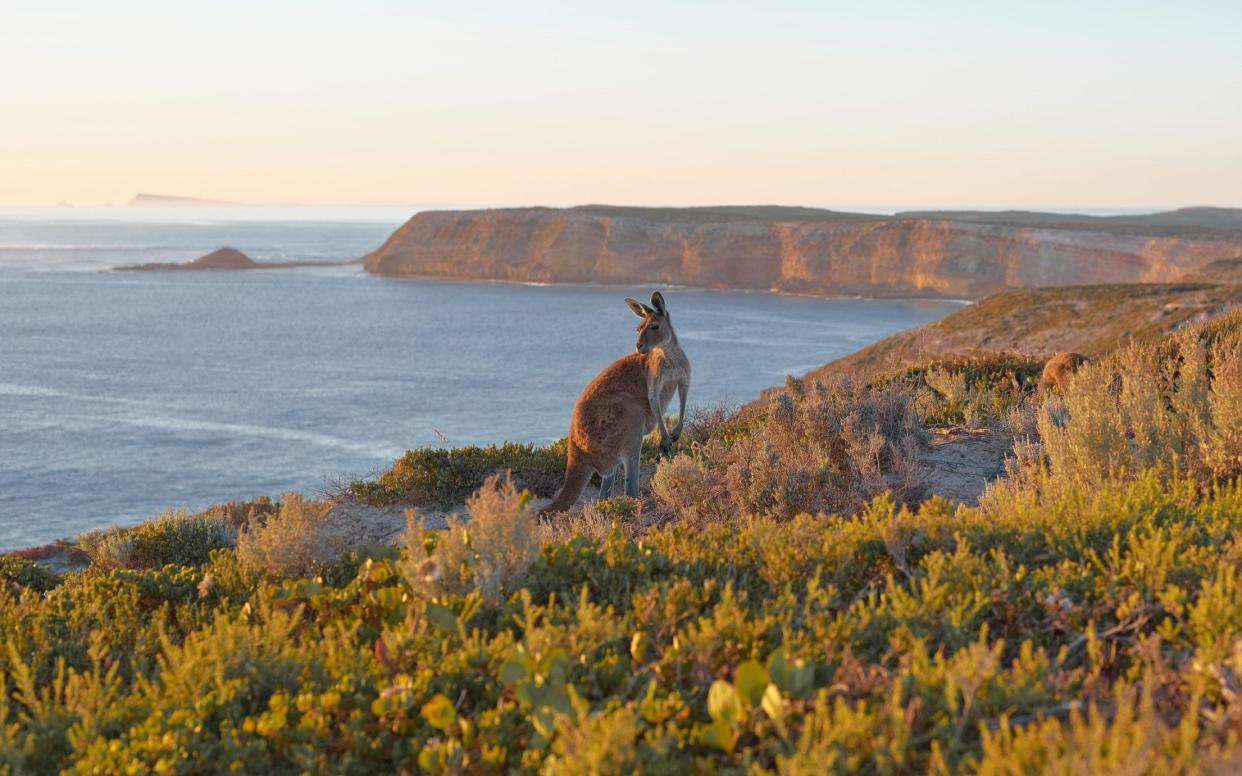 Cape du Couedic Kangaroo Island South Australia