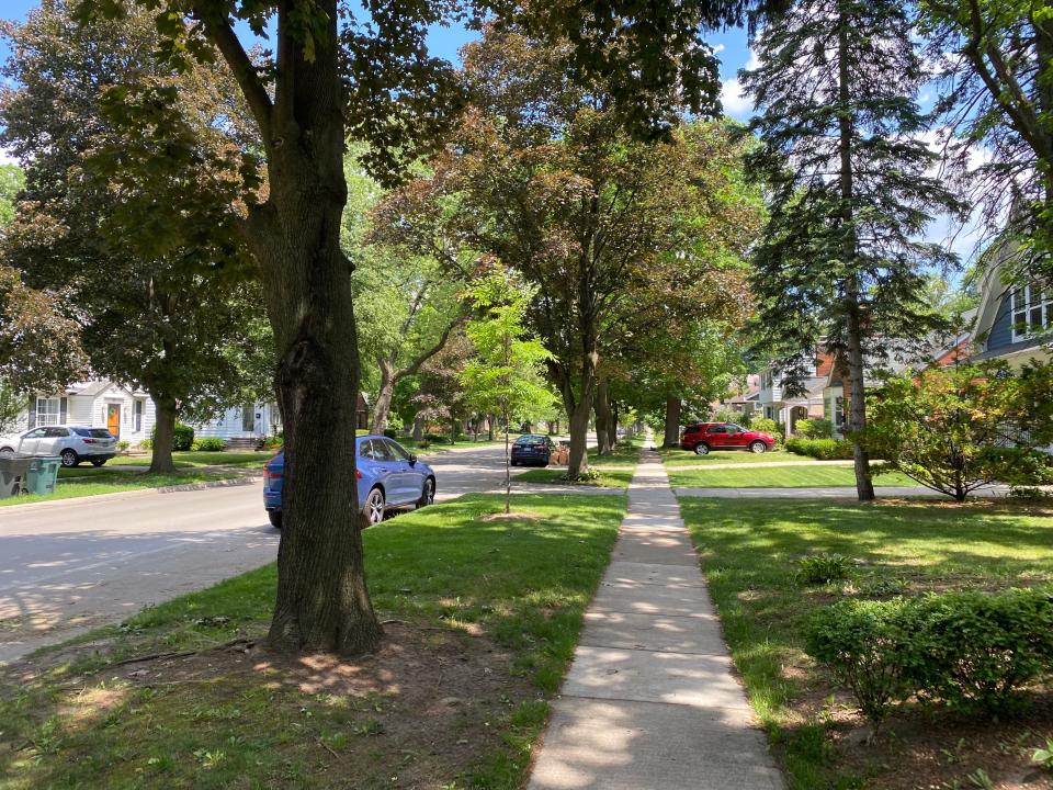 a suburban street of homes in ferndale MI