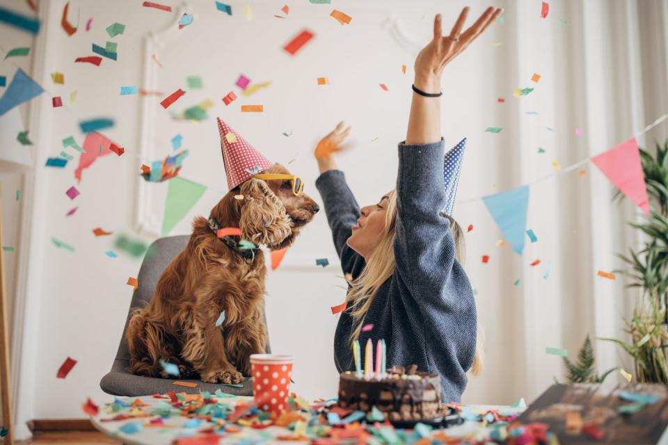 dog's birthday celebration