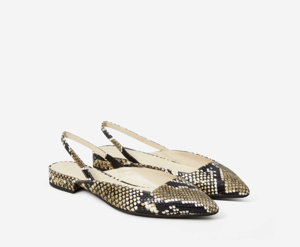 The Editor Slingback in Snake. Image via Everlane.