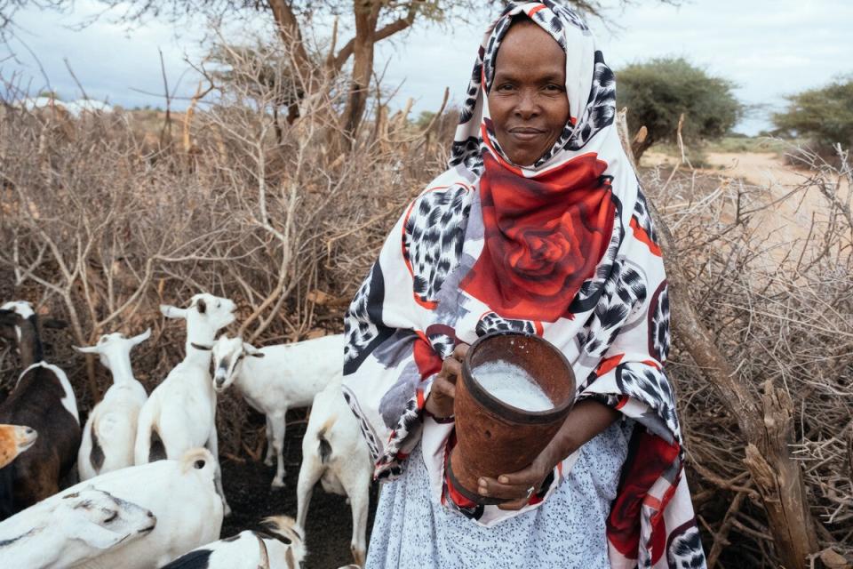 Deeqa in Togdheer Region: “It’s the women who do everything when it comes to livestock. It is women who feed the livestock, who trade the livestock and clean their fleece.” (Khadija Farah/ActionAid)