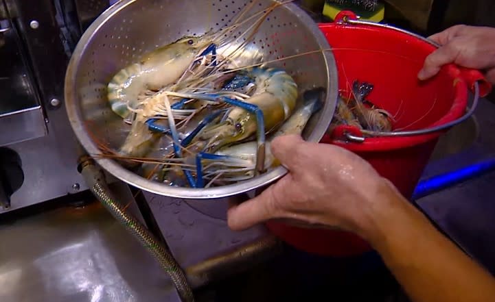 老闆僅允許員工食用新鮮的死蝦。（示意圖／東森新聞）