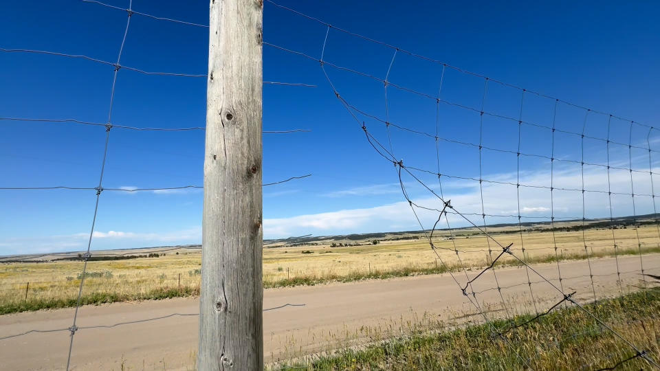 Image shows a fence along the tree farm cut.