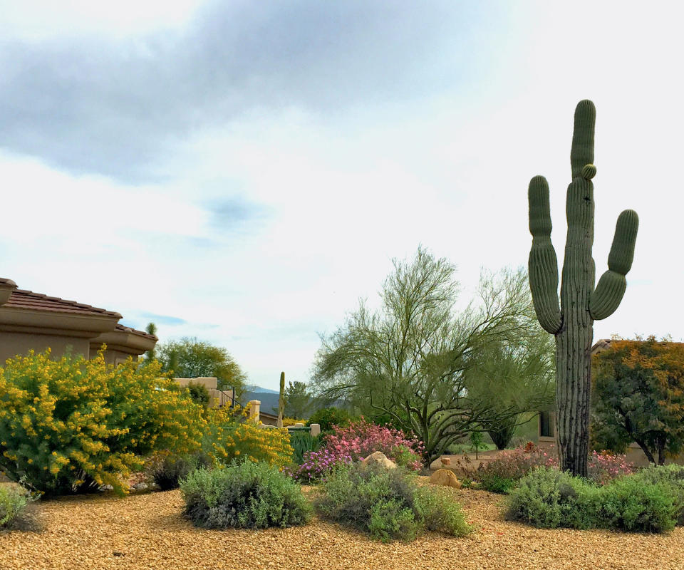 xeriscaped garden design