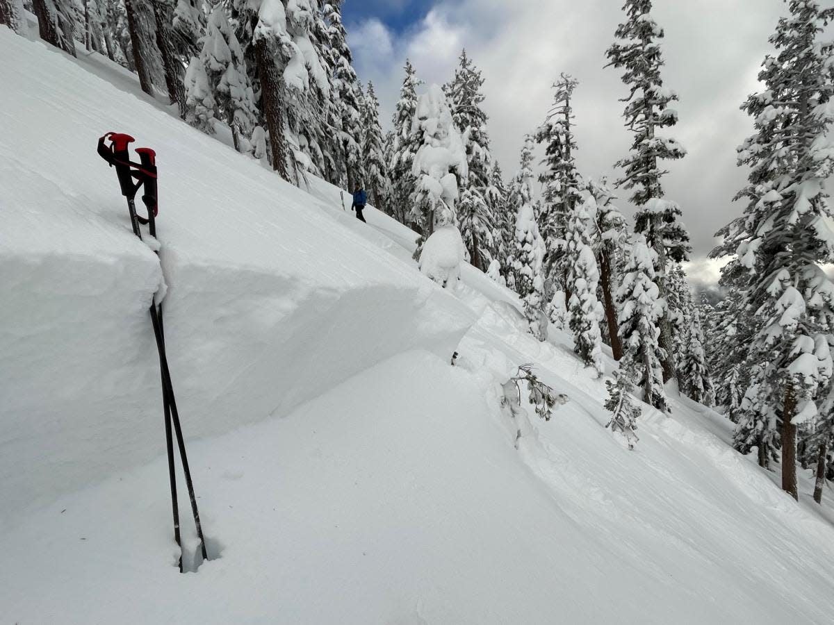 Ski poles mark the edge of an avalanche that fell on the west face of Gray Butte on Mt. Shasta on Dec. 11.