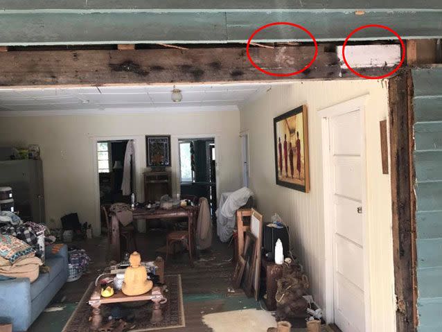 Two Brown Tree Snakes can be seen slithering above a wooden plank. Source: Facebook