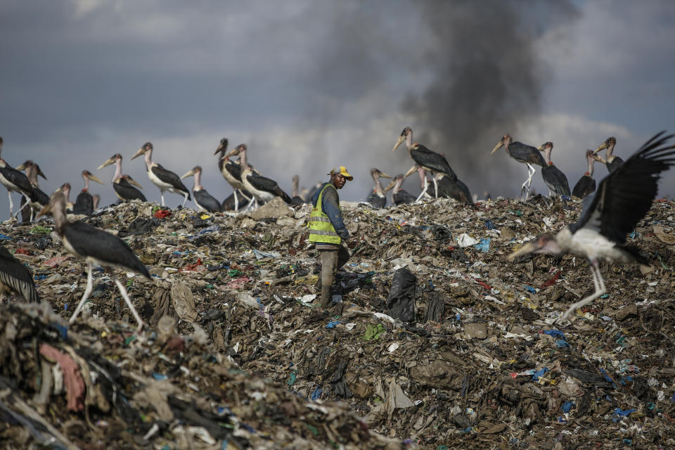 FILE - A man who scavenges recyclable materials for a living, center, walks past Marabou storks feeding on a mountain of garbage amidst smoke from burning trash at Dandora, the largest garbage dump in the capital Nairobi, Kenya, Sept. 7, 2021. The alteration of weather patterns like the ongoing drought in east and central Africa chiefly driven by climate change is severely undermining natural water systems devastating livelihoods and now threatening the survival of most of the world’s famed migratory bird species. (AP Photo/Brian Inganga, File)