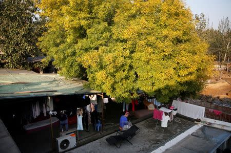 A woman sits on a rooftop at the accommodation where some patients and their family members stay while seeking medical treatment in Beijing, China, October 23, 2015. REUTERS/Kim Kyung-Hoon