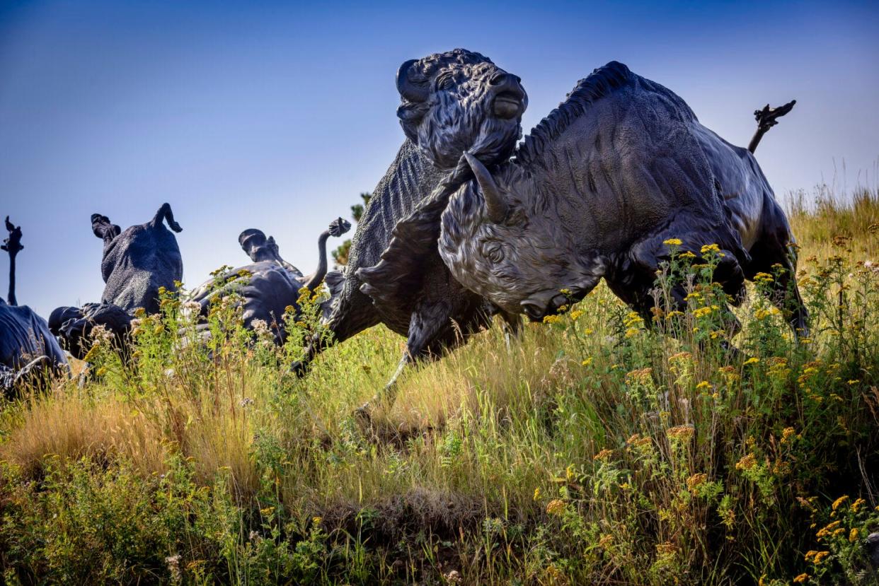 Sculptures by Peggy Detmers stand outside Tatanka: Story of the Bison near Deadwood. The sculptures include 14 bison being chased by three Lakota hunters on horseback.