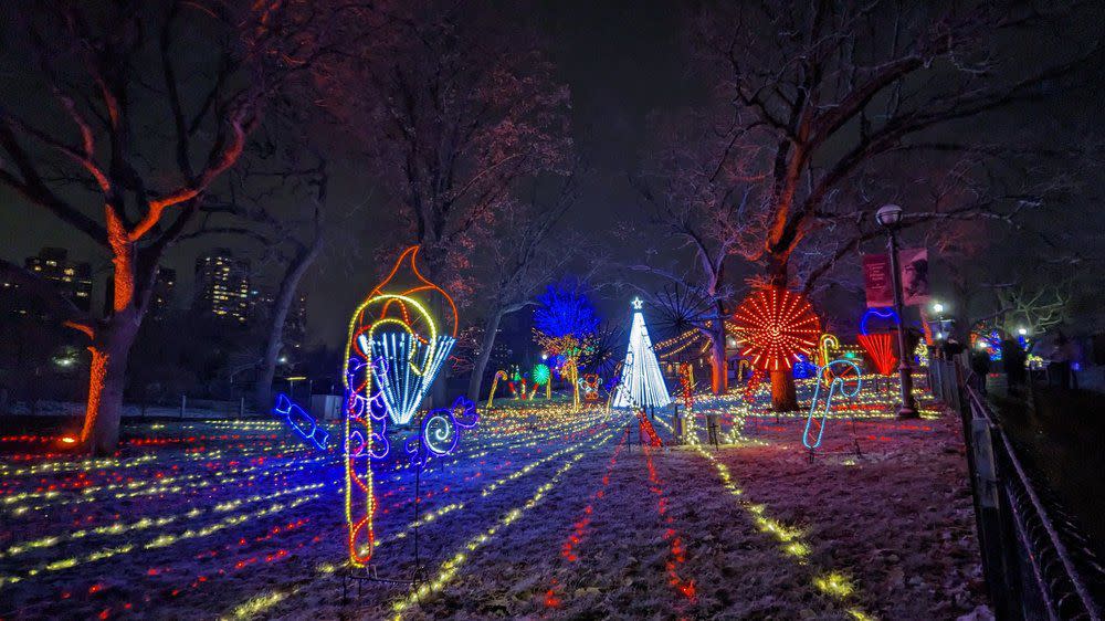 ZooLights Lincoln Park Zoo Chicago is just $7 most weeknights.