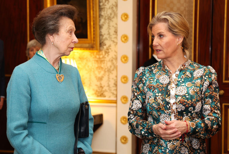 Princess Anne and Sophie, Duchess of Edinburgh