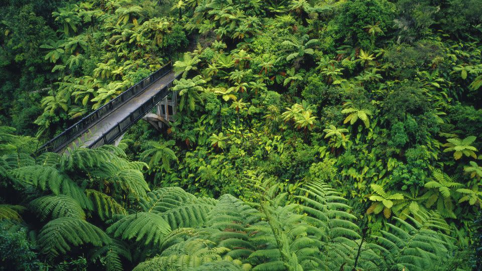 The "Bridge to Nowhere" in Mangapurua Valley. - agefotostock/Alamy Stock Photo