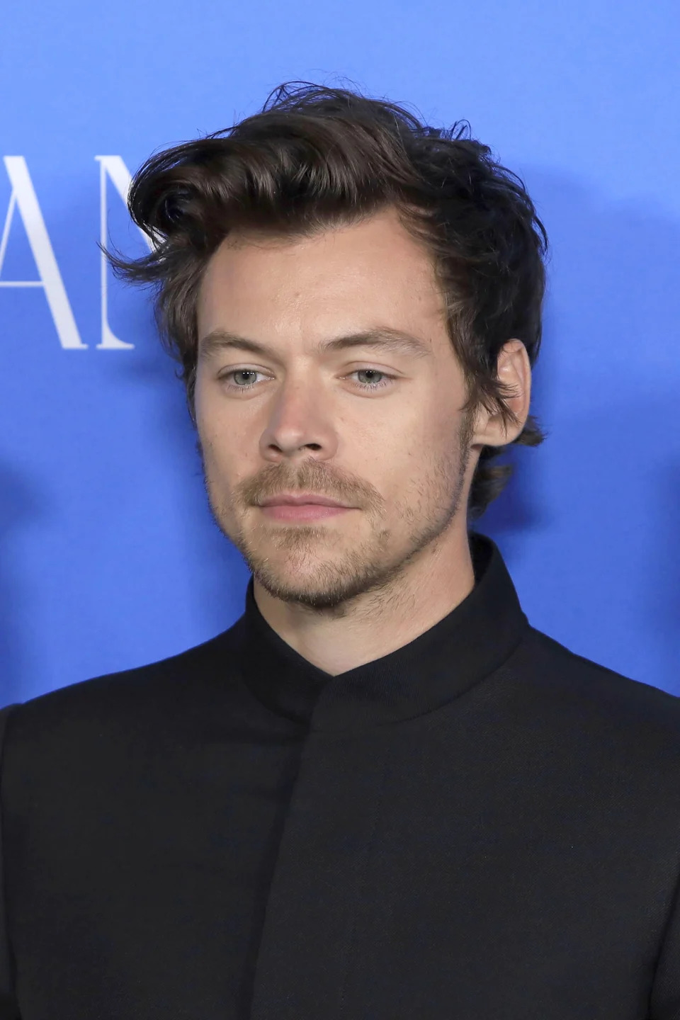 Harry Styles at arrivals for MY POLICEMAN Premiere, Regency Bruin Theatre, Los Angeles, CA November 1, 2022. 