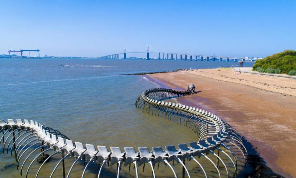 The giant sea snake in the Loire estuary.