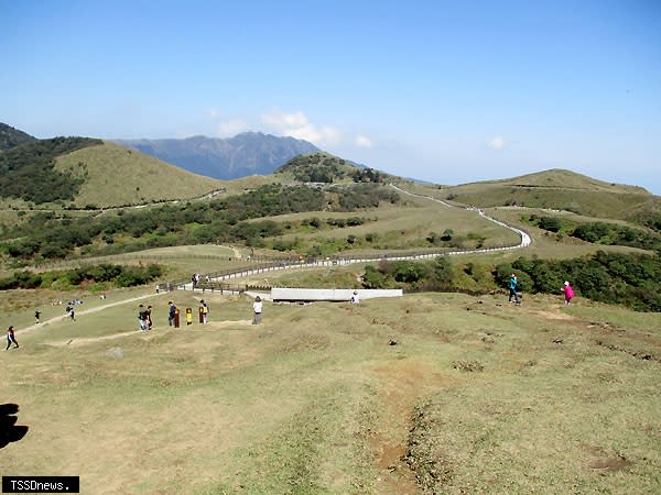 陽明山國家公園的擎天崗大草原，為遊客親近大自然健行旅遊的熱門景點之一。（記者王先國攝）