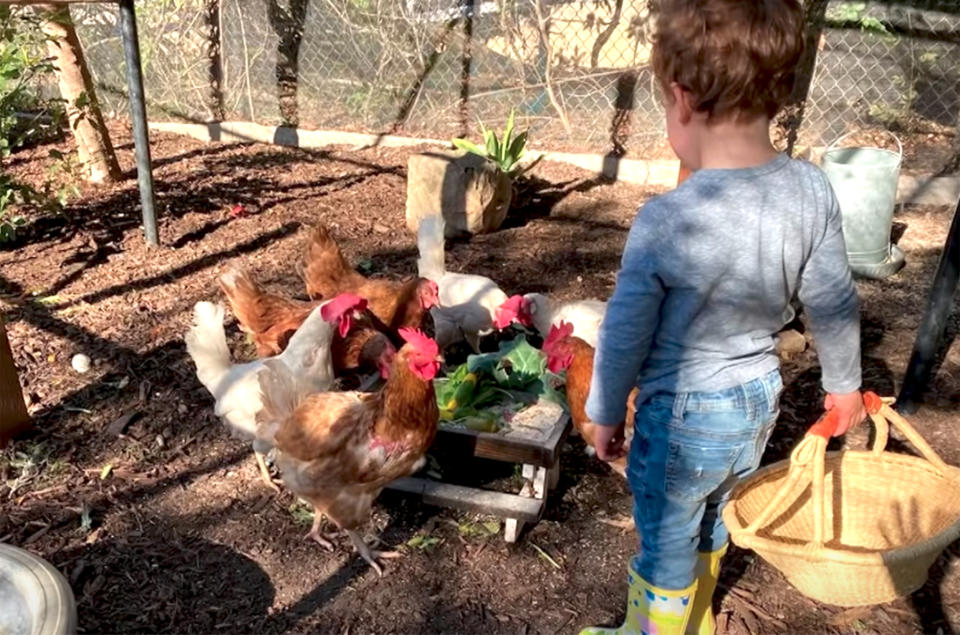 The Duchess of Sussex, shared a photo of son Archie feeding the family's chickens during a visit to 