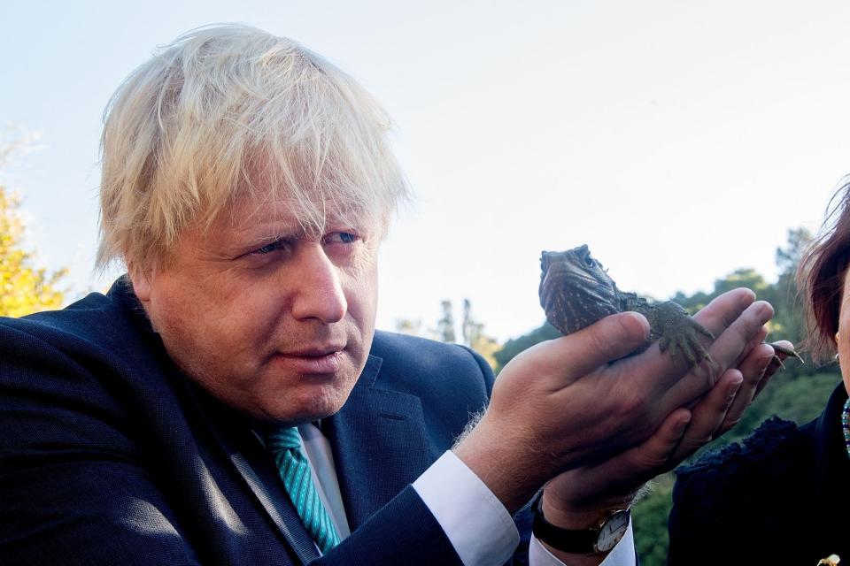 Auch Boris Johnson, damals noch britischer Außenminister, bekam beim Besuch in Neuseeland eine Brückenechse in die Hand gedrückt. (Bild: Marty Melville - Pool/Getty Images)