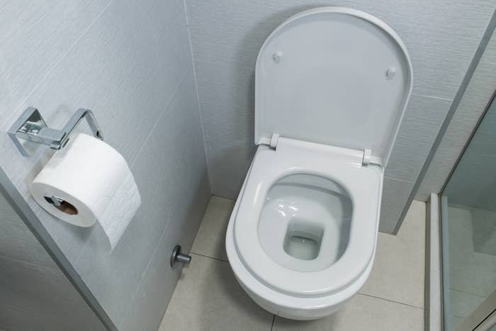 A toilet with an open lid next to a wall-mounted toilet paper holder in a bathroom