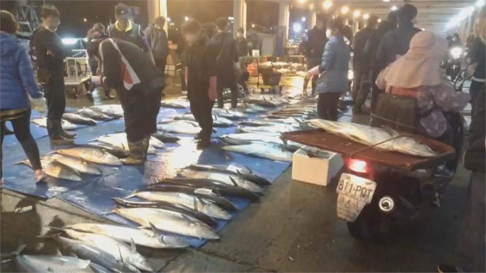 春節前夕正值盛產期　一條條土魠魚鮮嫩肥美