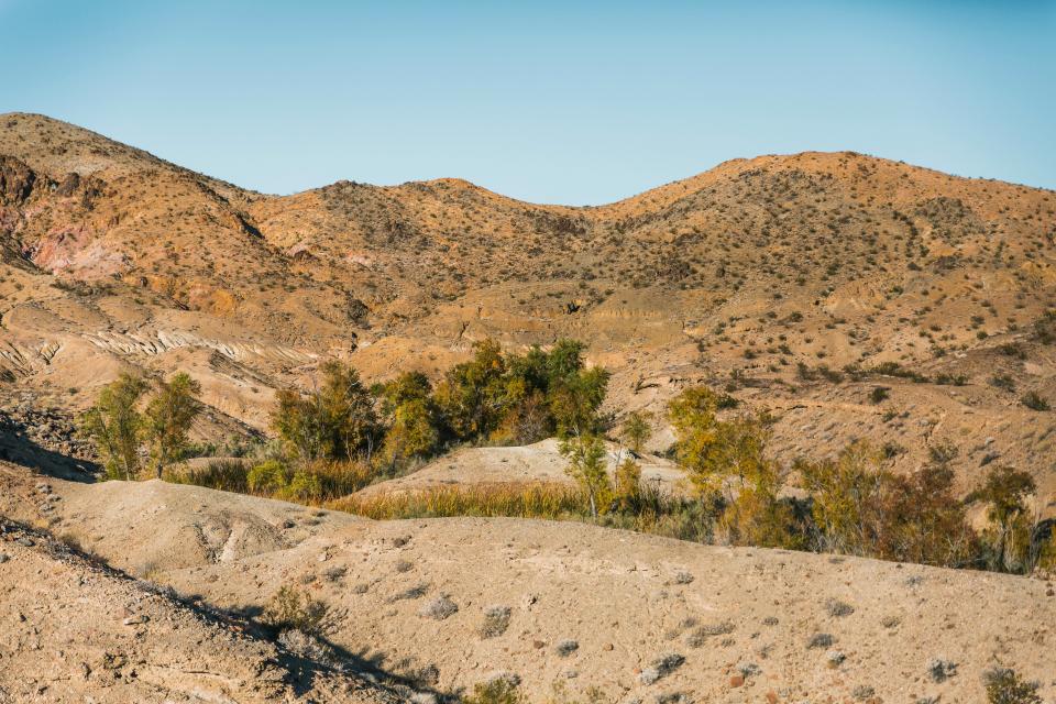 Bonanza Spring emerges from the Clipper Mountains in the southeastern Mojave, the driest desert in North America with an average precipitation of less than 5 inches per year.