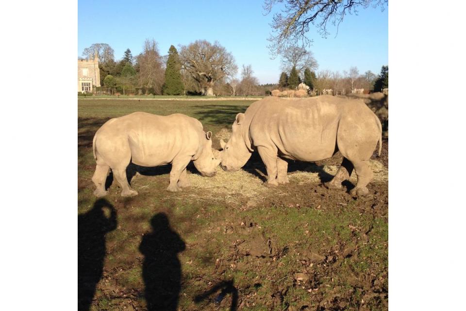 Big beasts at Cotswold Wildlife Park Photo: Dani Andrews Grice