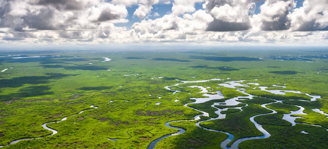 For the past 20 years, the U.S. Army Corps of Engineers has been working to restore the Everglades.