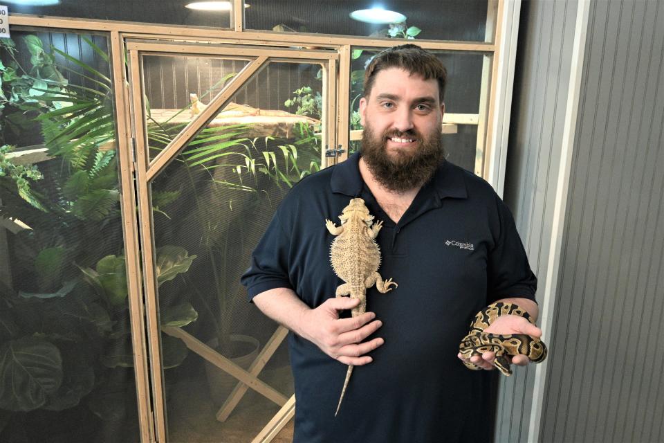 Cory Langridge at Jungle Pets with his bearded dragon lizard and Ball python store pets.