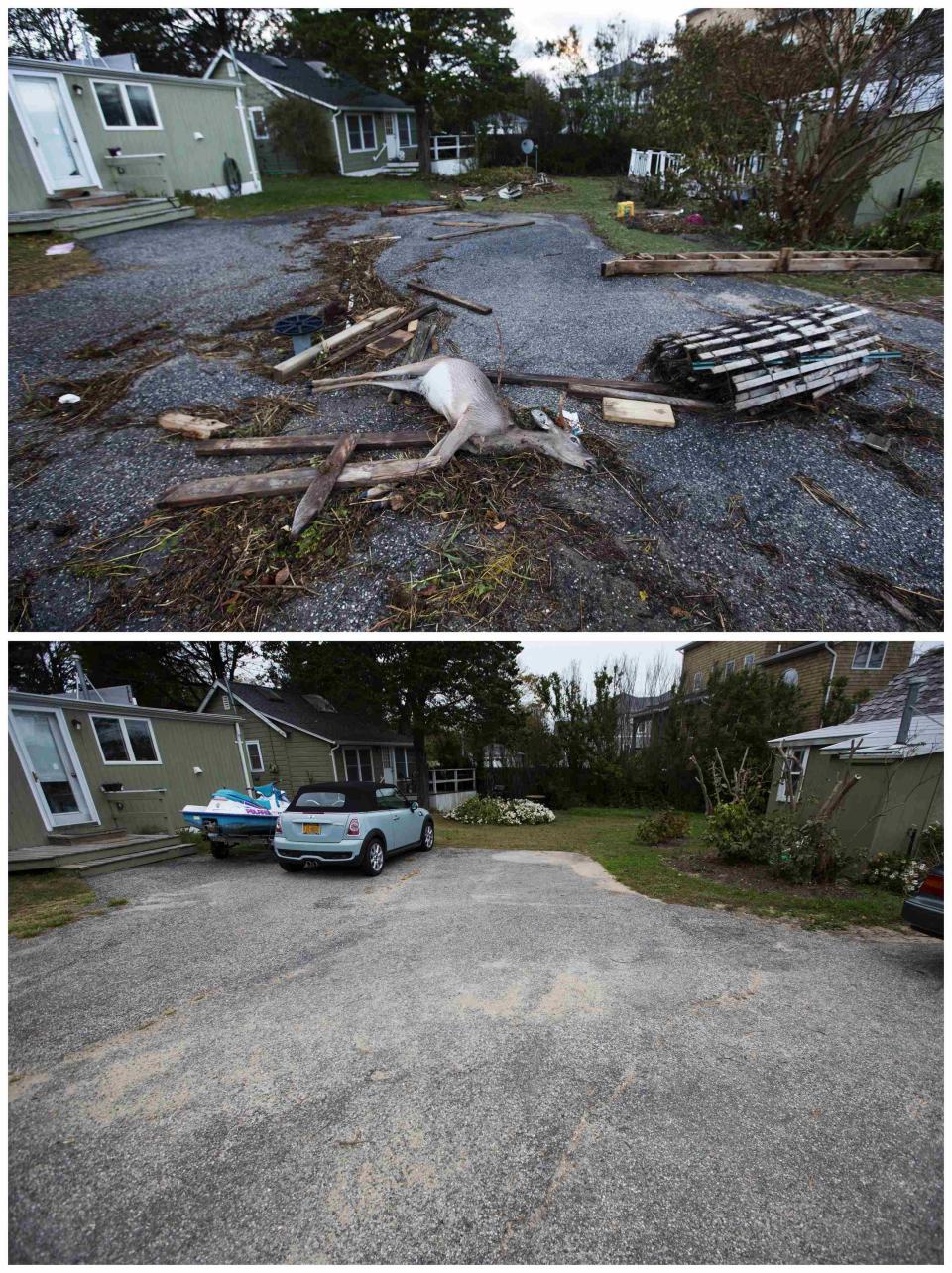 A combination photo shows a dead deer lying with driftwood and debris left by the storm surge of Superstorm Sandy and a recent view of the same courtyard in Hampton Bays New York