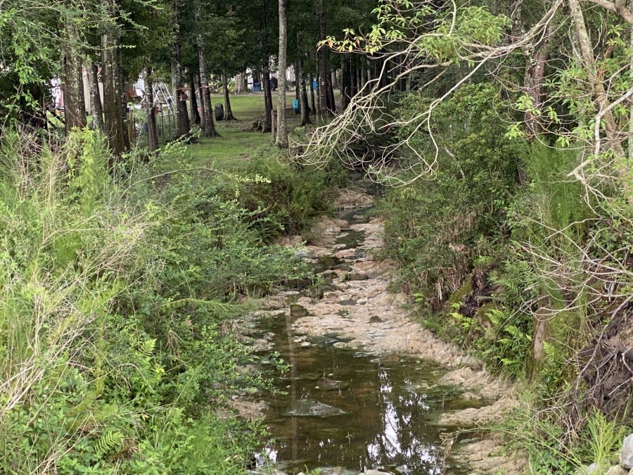 “A stormwater management plan would allow Foley to improve drainage and reduce flooding on the Bon Secour River,” a city news release said. “The city is applying for a state grant to develop the plan.” (Courtesy: City of Foley)