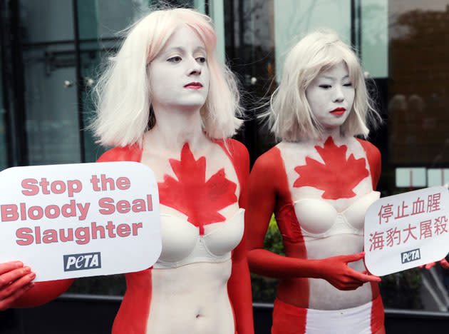 Two half naked women, from the People for the Ethical Treatment of Animals (PeTA) painted with Canadian flags, protest against seal slaughter outside the Canada Trade Office in Taipei on March 23, 2011. The protesters said the European Union and the US have banned seal products for years and hope Taiwan can do the same too. AFP PHOTO / Sam YEH