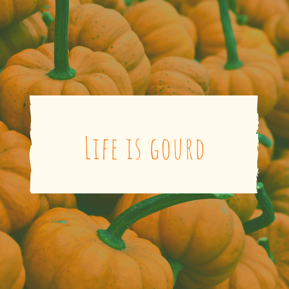 Life is gourd. | Pumpkin Patch Caption