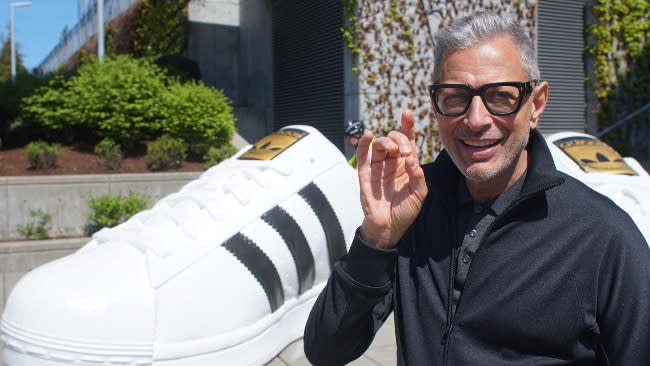 jeff-goldblum-1