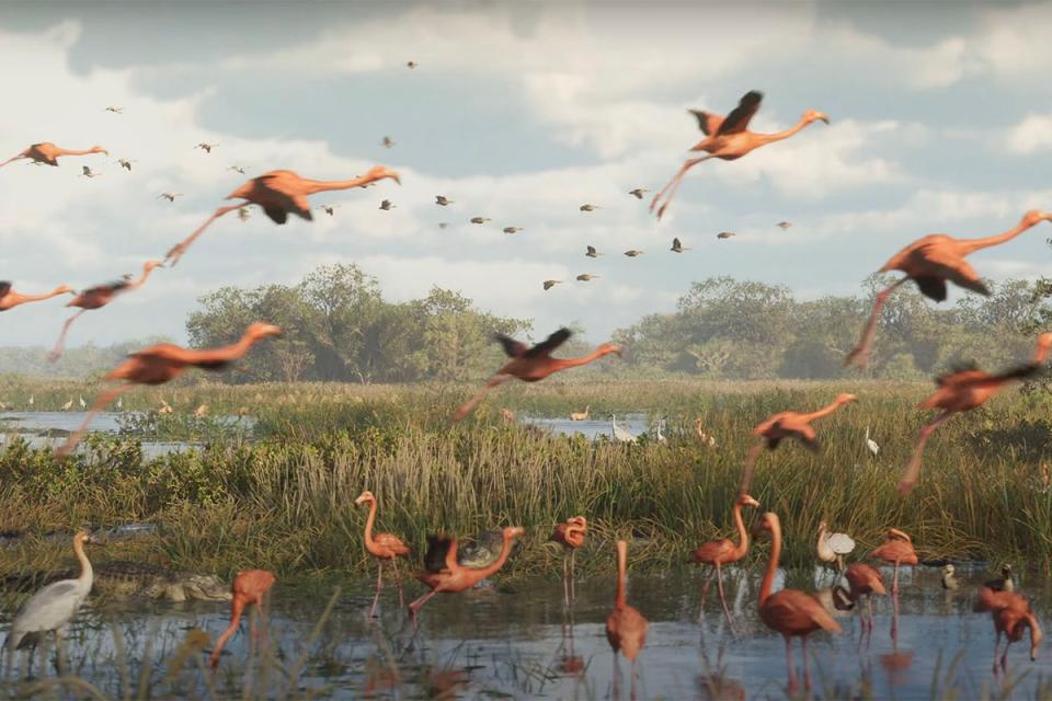 Many flamingos in the swamp scene (Rockstar Games)